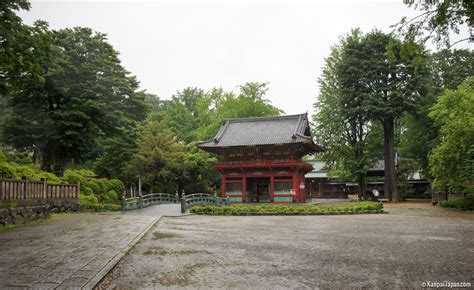 Image result for jinja