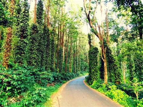 10 BEST Places to Visit in Yercaud - UPDATED 2022 (with Photos ...