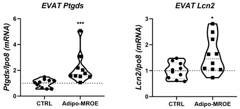 Adipocyte-Mineralocorticoid Receptor Alters Mitochondrial Quality ...
