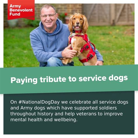 Rezultat imagine pentru Dogs Programmes