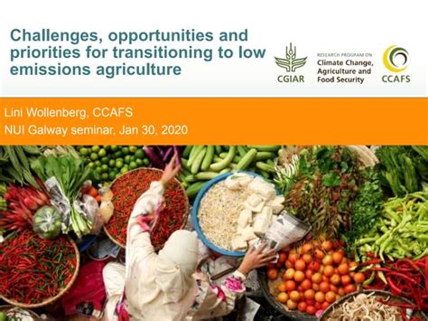 Challenges And Opportunities For Economic Growth In Navajo Nation