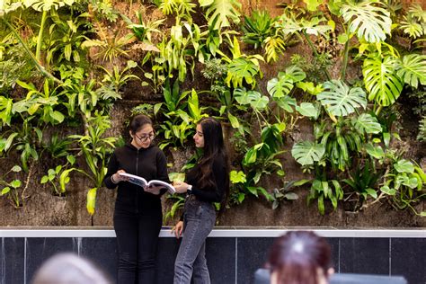 Image result for Drafting Writing