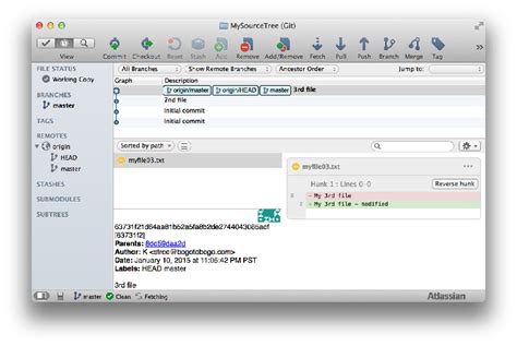Image result for Stash Pull Push Commit in Source Tree