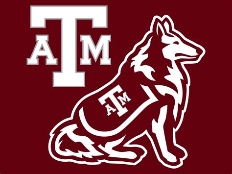 Go aggies | Texas a&m, Texas, Texas a m university