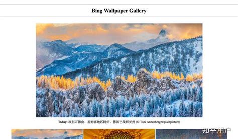 Bing手机壁纸 的图像结果