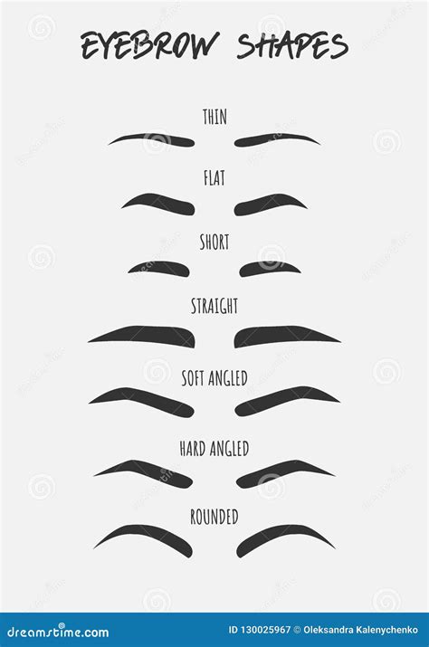 Set of Different Types of Female Eyebrows with Names Stock Vector - Illustration of icon, human ...