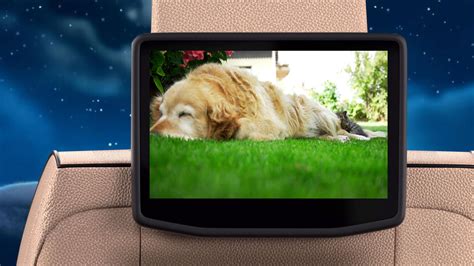 Calming Music for Cats - Relaxation, Deep Sleep, Stress Relief for Tv ...