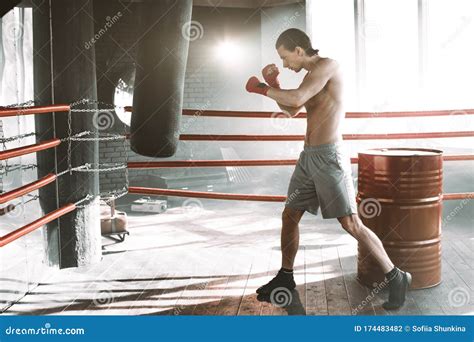Boxer Boxing 的图像结果