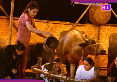 Chhoriyan Chali Gaon: Anjuum Fakih dumps a whole bucket of ‘gobar’ on ...