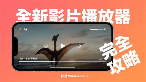 Image result for iOS Video Player