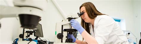 Image result for Application of Compaction Testing