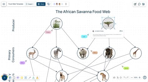 Image result for Create a Food Web