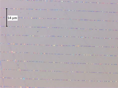 Microscope 1000X Magnification 的图像结果