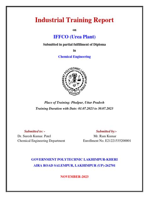 Training Report Examples 的图像结果