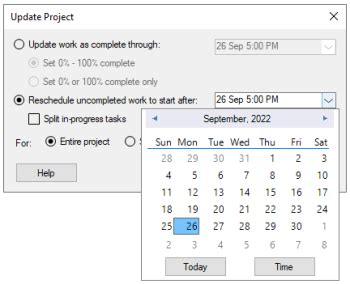 Image result for Microsoft Project Schedule Update Progress