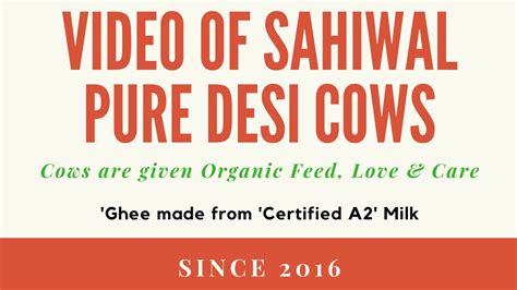 Saahiwal Gaumata At Shuddham