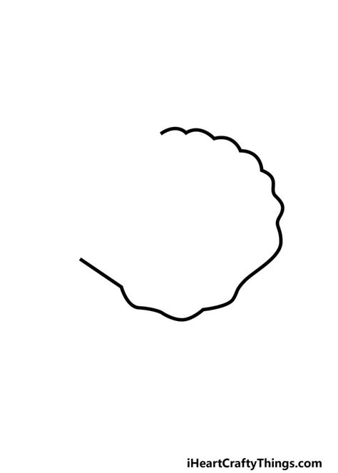 Image result for Count Shell Drawing