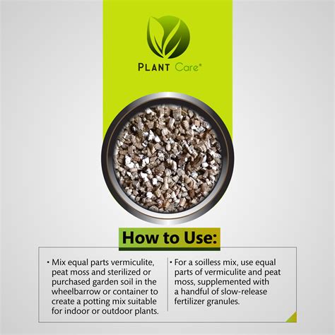 What Plants Need Vermiculite For Healthier Roots