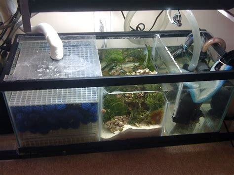 Diy Aquarium Sump
