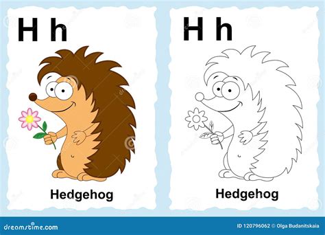Alphabet Coloring Book Page with Outline Clip Art To Color. Letter H.Hedgehog. Vector Animals ...