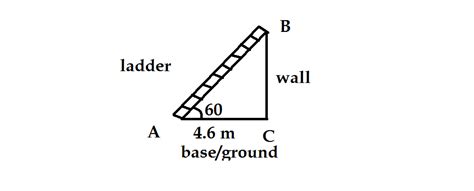 The angle of elevation of a ladder leaning against a wall is 60ｺ and ...