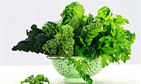 The impact of a plant-based diet on migraines | Thought Shrapnel
