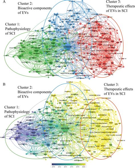 Co-Occurrence Network Python 的图像结果