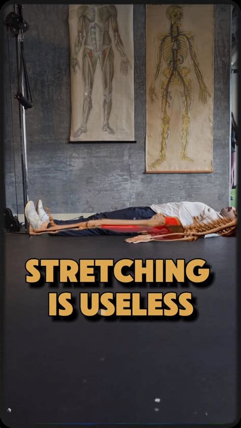 Coach Milad and Ryan ️Fitness and Nutrition Coach | Questions, comments ...