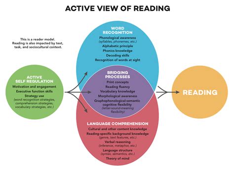 Science of Reading in Action | Learning Without Tears