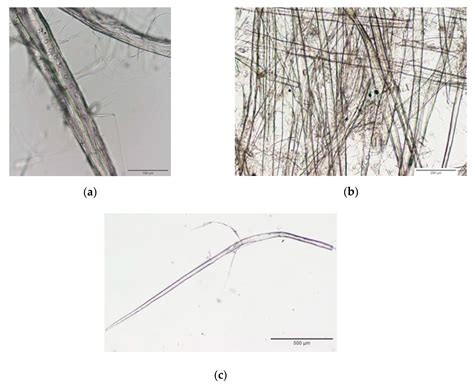 Reduce, Reuse and Recycle in Protein Chromatography: Development of an ...