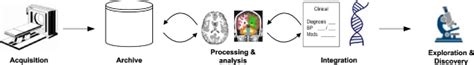 Image result for Workflow of First Level Analysis