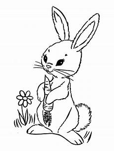 hasen malvorlagen nya ausmalbilder zum ausdrucken gratis malvorlagen hase 3 hasen malvorlagen nya ausmalbilder zum ausdrucken gratis malvorlagen hase 3