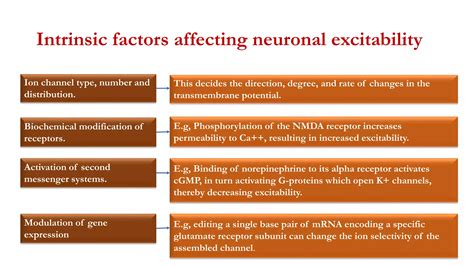 Basic mechanism of epilepsy | PPTX