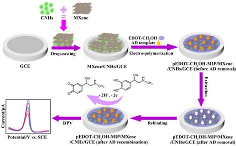 Advances in MXene-Based Electrochemical (Bio)Sensors for ...