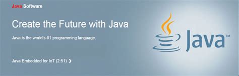 Java/Oracle 的图像结果