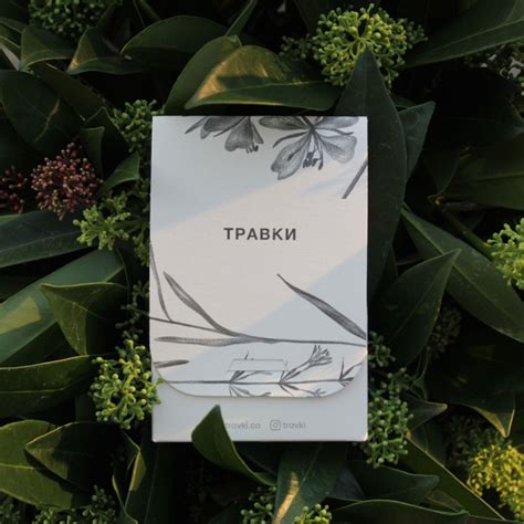 Чай Травки, 5 пак. - present-simple.by
