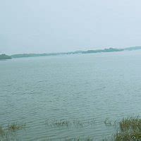 Thol Lake Bird Sanctuary (Mehsana) - All You Need to Know BEFORE You Go