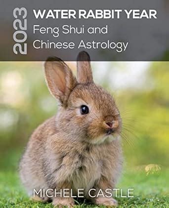 2023 Water Rabbit Year: Feng Shui and Chinese Astrology : Castle ...