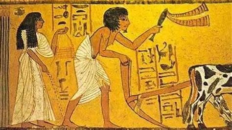 古埃及的科学技术 - 知乎