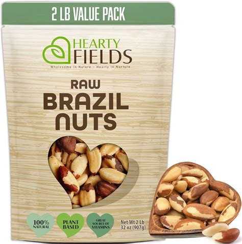Amazon.com: Brazil Nuts Superfood for Healthy Snack Indulgence ...