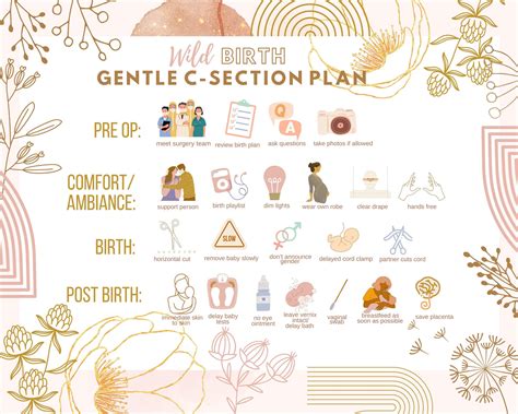 Gentle c section birth plan l visual birth plan l birth plan template editable l vbac prep l ...