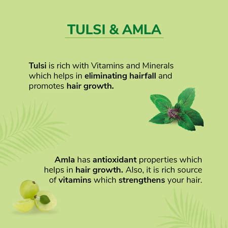 Buy NYLE NATURALS SILKY AND SMOOTH ANTI HAIRFALL SHAMPOO | WITH TULSI ...