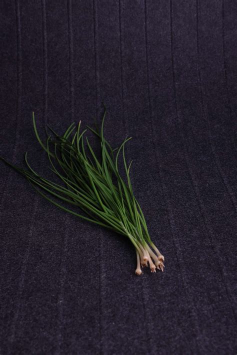 Chives