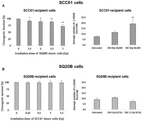 Ceramide-Enriched Membrane Domains Contribute to Targeted and ...