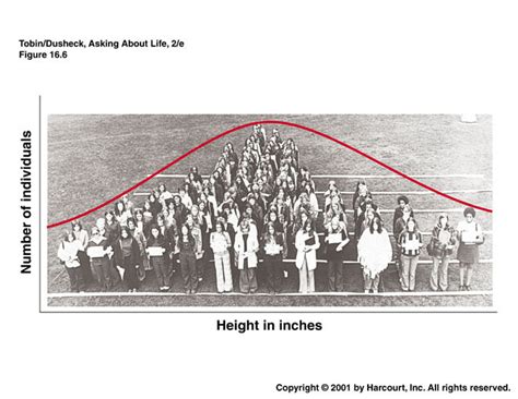 Image result for Approximately Normal Distribution Examples
