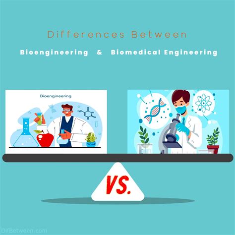 Biomedical Engineer vs Electrical Engineer 的图像结果