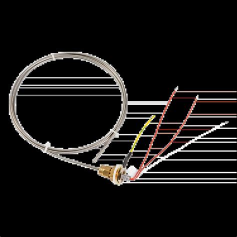 MONI-PT100-EXE-SENSOR RTD Sensor for Hazardous Areas | nVent RAYCHEM