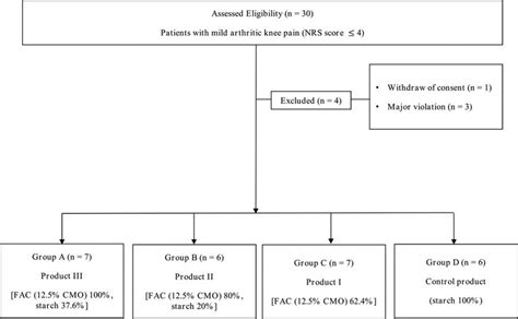 Image result for Random Allocation