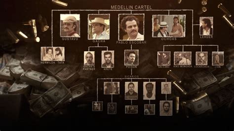 Narcos: Mexico Season 3 | Bangumi 番组计划