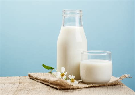 I'm on a diet. Should I avoid dairy products? | Soignon
